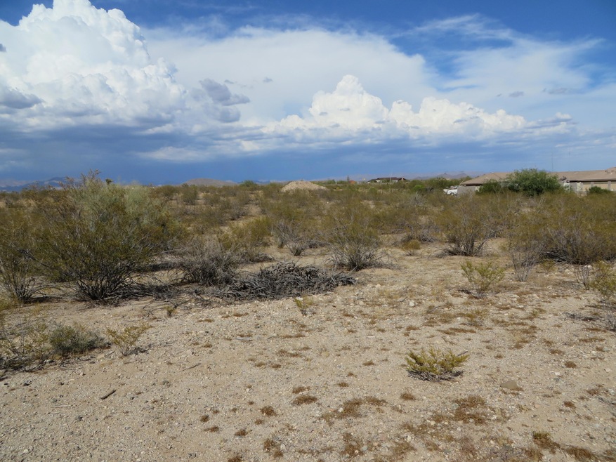 21320 W Vista Royale Dr unit 3, Wickenburg, AZ 85390 - photo 1