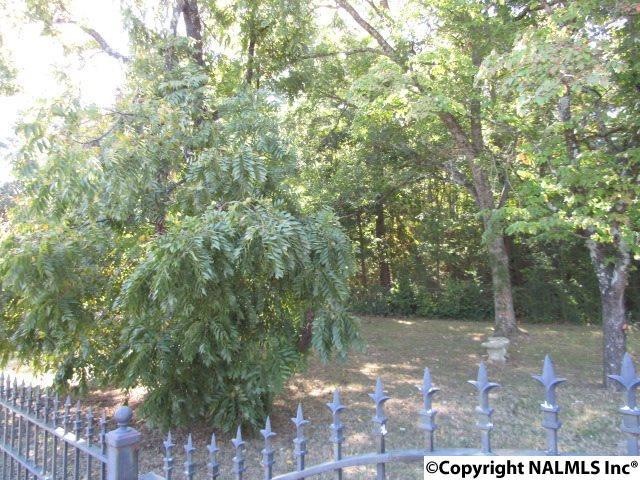 LOT 3 Park Ln, Rainbow City, AL 35906 - photo 1