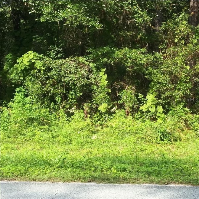 1256 Columbus Blvd, Miromar Lakes, FL 33913 - photo 1