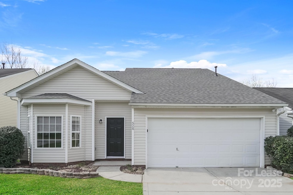 524 Lightspun Ln, Charlotte, NC 28216 - photo 1