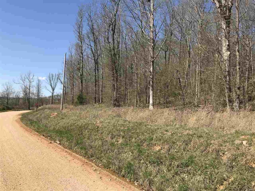 0 County Road 423, Epps Township, MO 63901 - photo 1