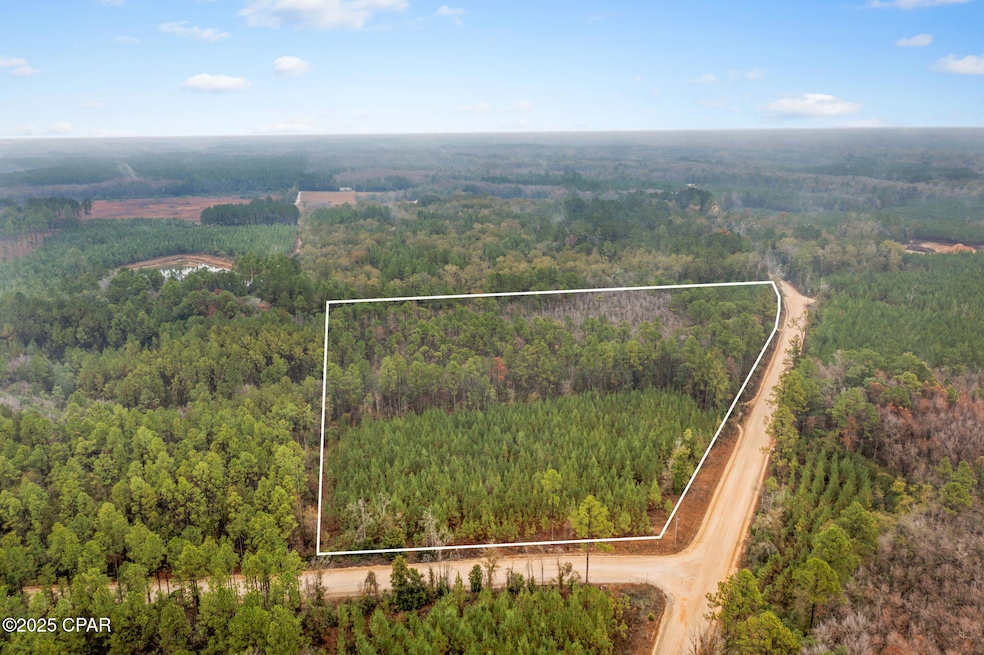 XXX White Rd unit 12.78 Acres, Chipley, FL 32428 - photo 1