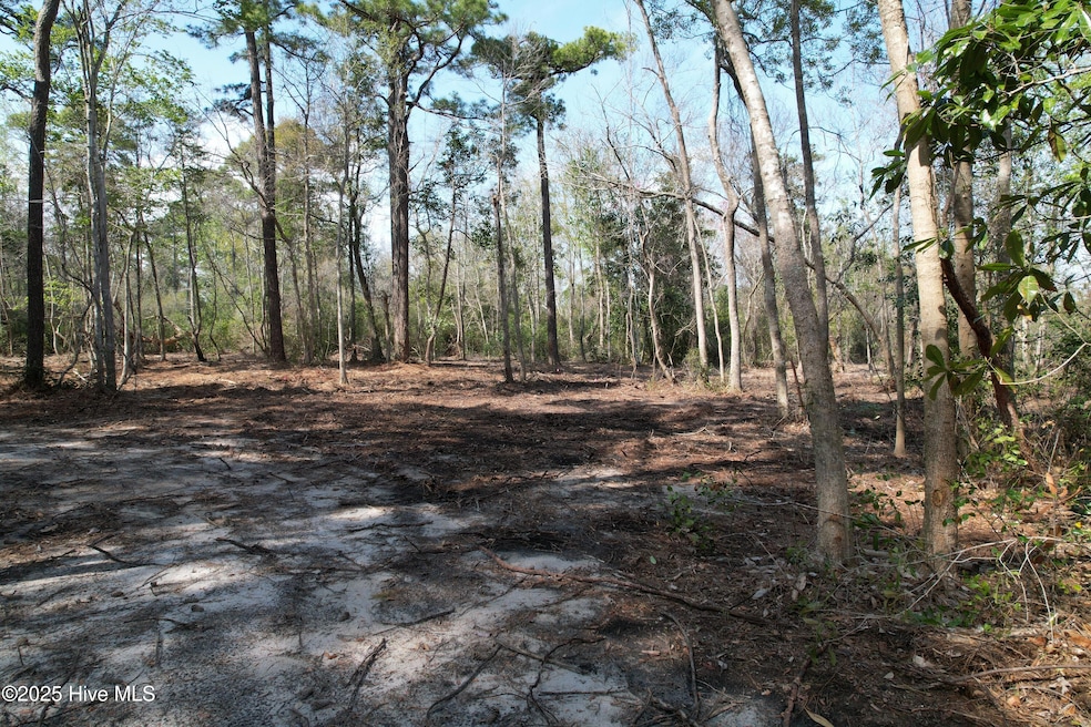 7406 Myrtle Grove Rd, Wilmington, NC 28409 - photo 1