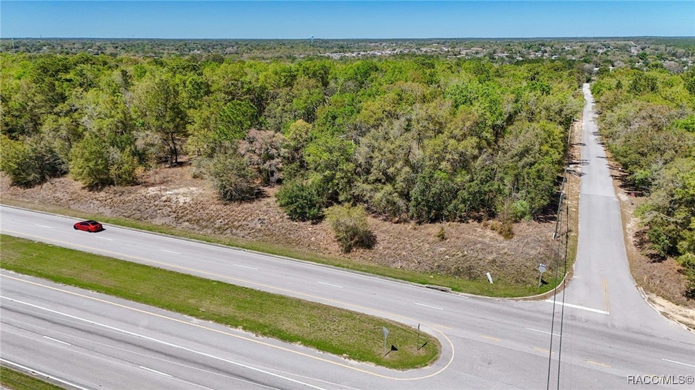 161 W Norvell Bryant Hwy, Hernando, FL 34442 - photo 1