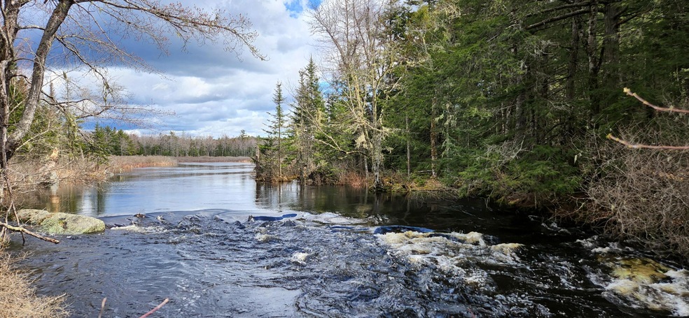 Webb Brook 9