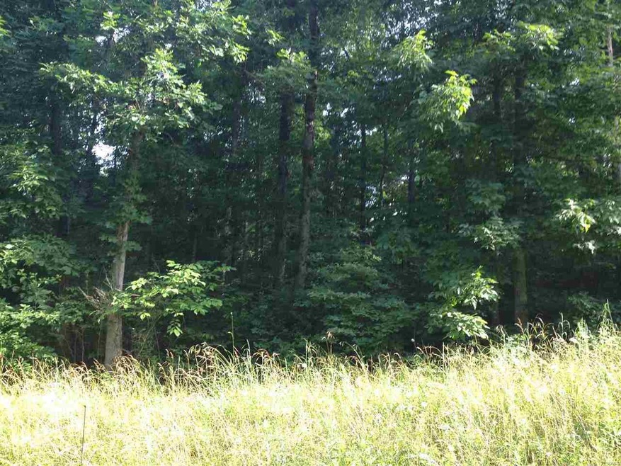 0 7 5 Ac March Ln, Poplar Bluff, MO 63901 - photo 1