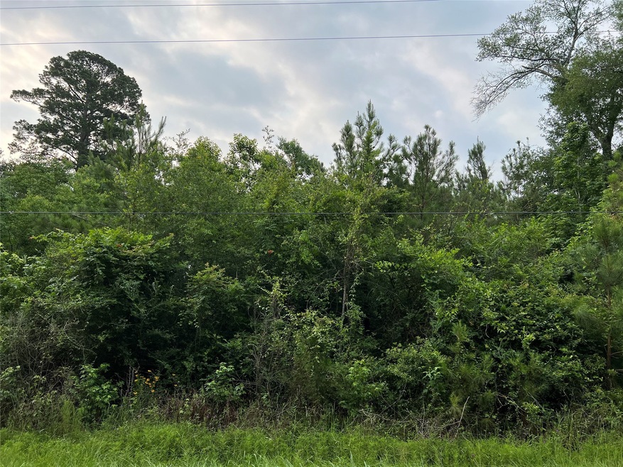 0 Roy Ln, Magnolia, TX 77354 - photo 1