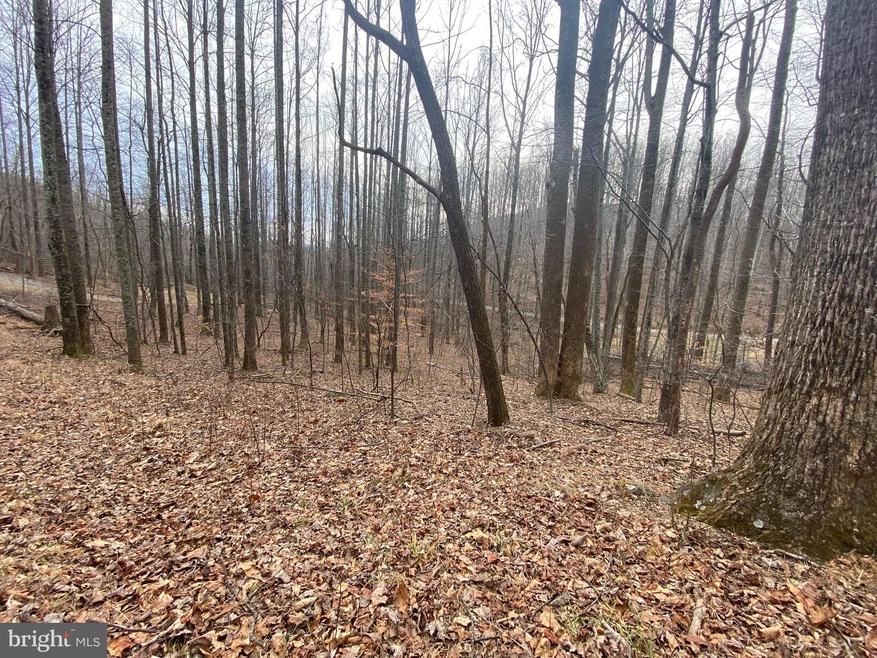 0 Lost Lakeview Rd unit VAMA2000968, Madison, VA 22727 - photo 1