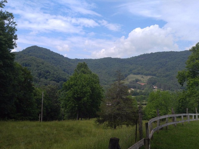 Main View