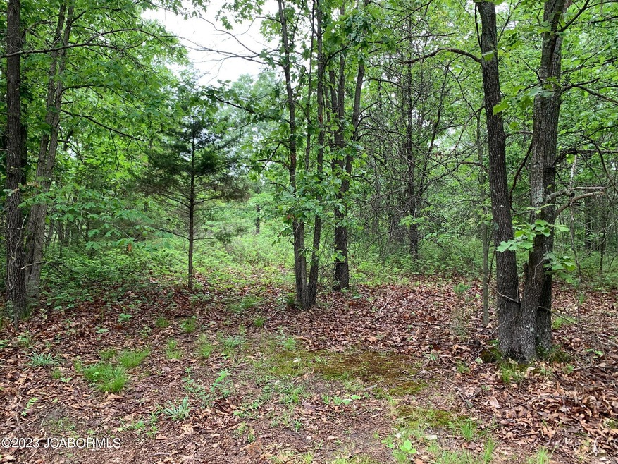 Land Photo 1