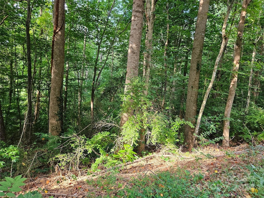 00 General Griffith Cir unit 31, Rutherfordton, NC 28139 - photo 1