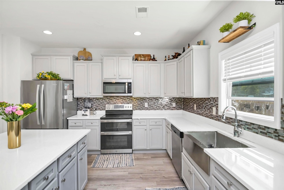 143 Doolittle Dr, Chapin, SC 29036 - photo 1