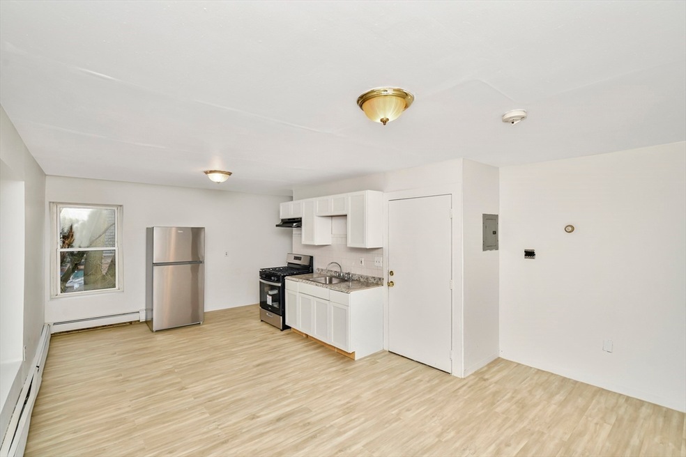 59 Copeland St unit 3, Roxbury, MA 02119 - photo 1