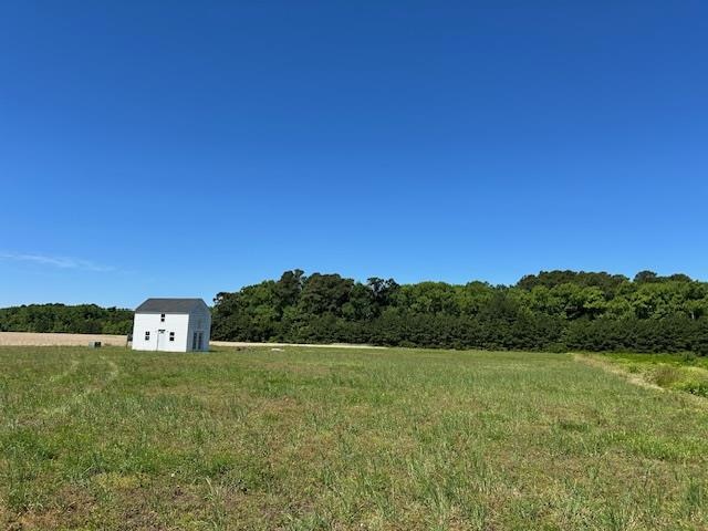 Main View