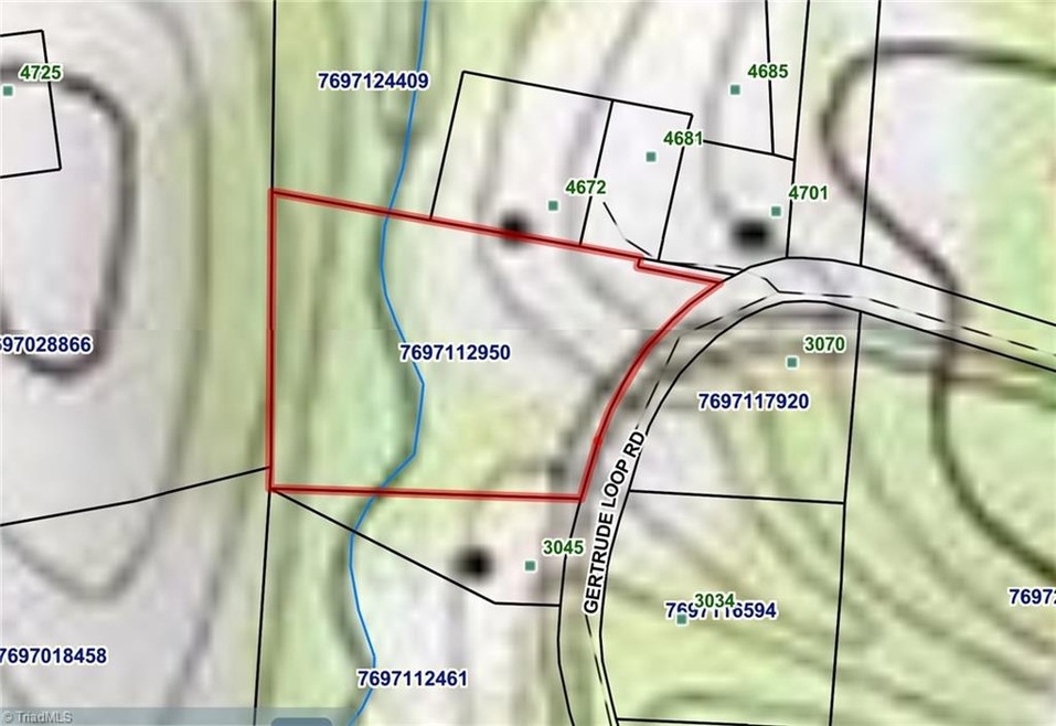 0 Gertrude Loop Rd, Richland, NC 27341 - photo 1