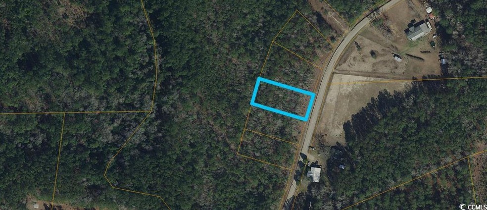 Lot 3 Mcnabb Rd, Loris, SC 29569 - photo 1
