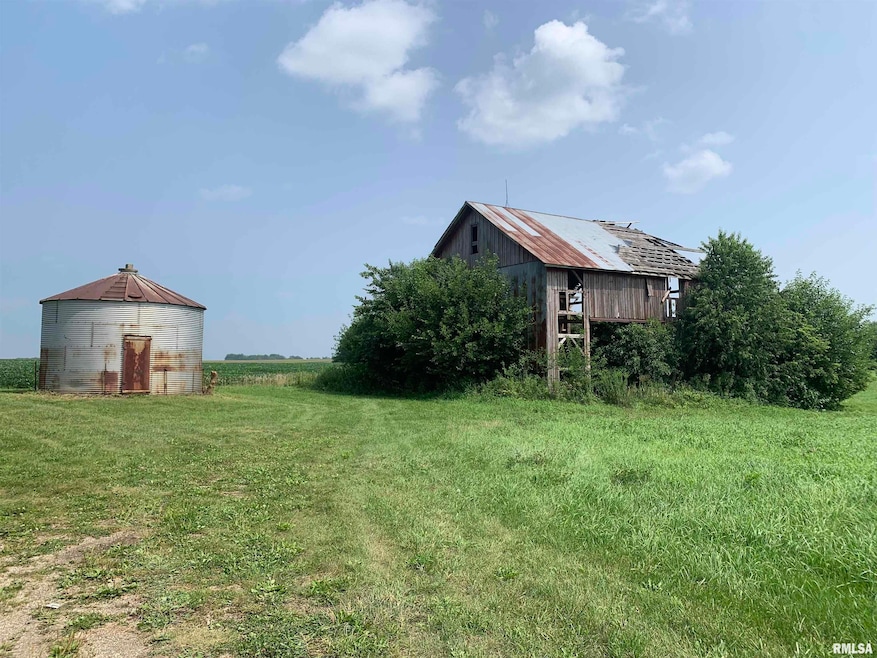 1817 Bell Plain Rd, Bell Plain Township, IL 61369 - photo 1