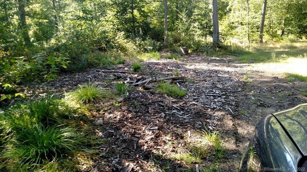 38A Hennequin Rd, Columbia, CT 06237 - photo 1