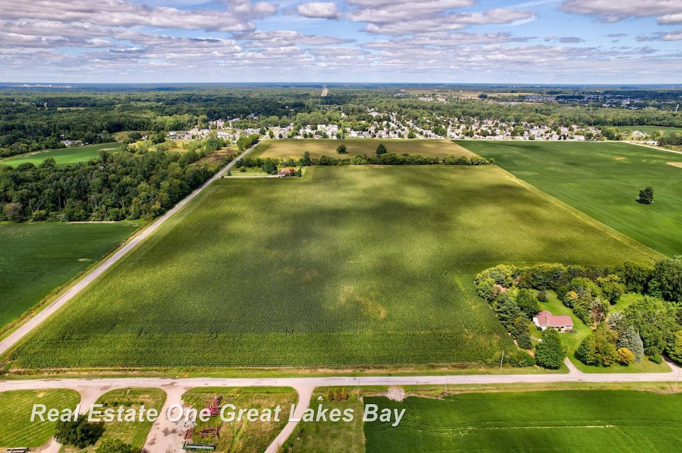 V/L Mielke Rd, Freeland, MI 48623 - photo 1