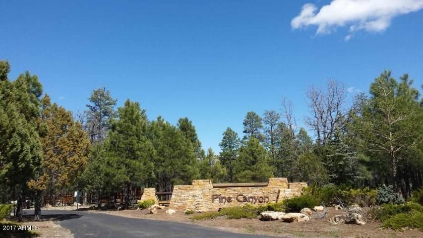 Pine Canyon 1