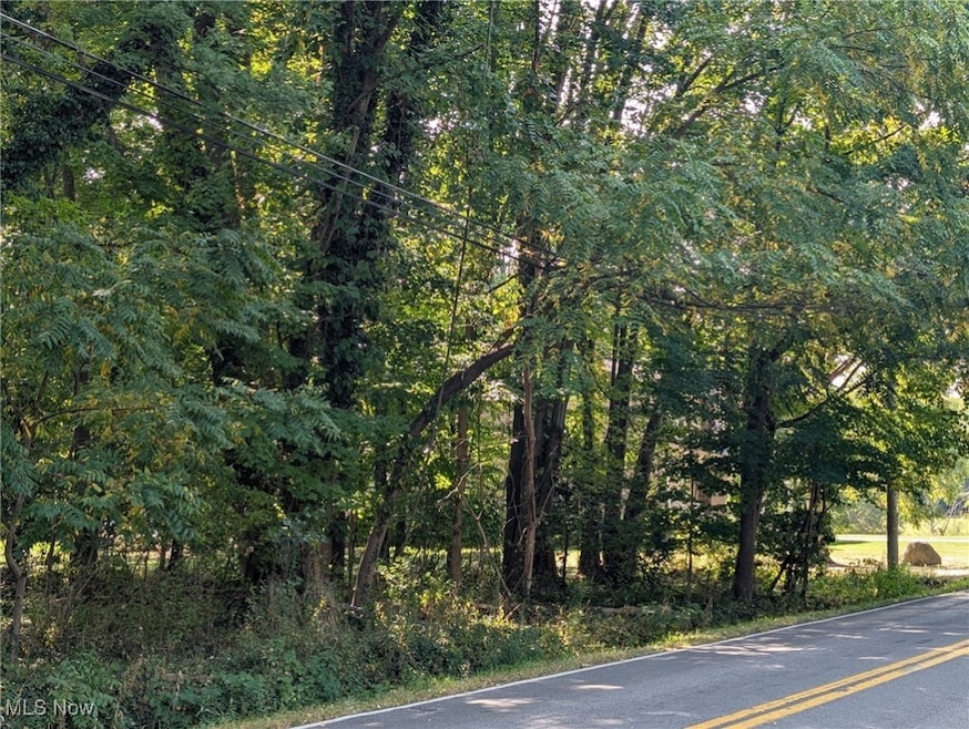 0 Schocalog Rd unit 5155850, Akron, OH 44320 - photo 1