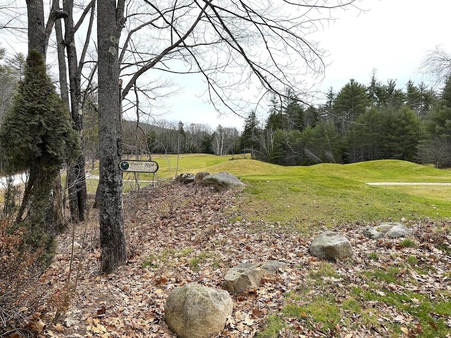 Lot 4 Emery Rd, Parsonsfield, ME 04047 - photo 1
