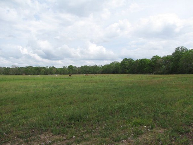 3504 Thomas Rd, Albany, GA 31705 - photo 1