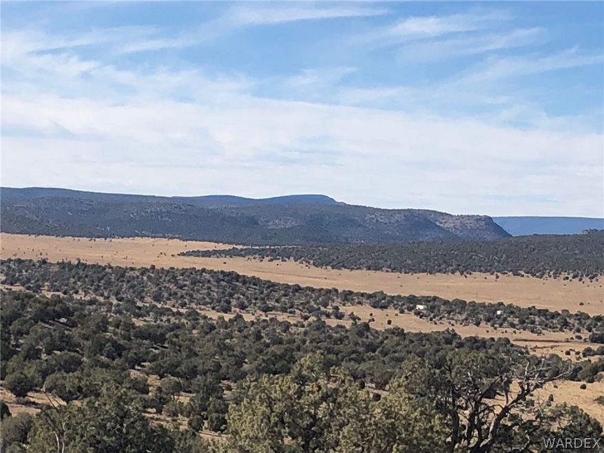 Lots 713,715,716 Greenview Ranch, Seligman, AZ 86337 - photo 1