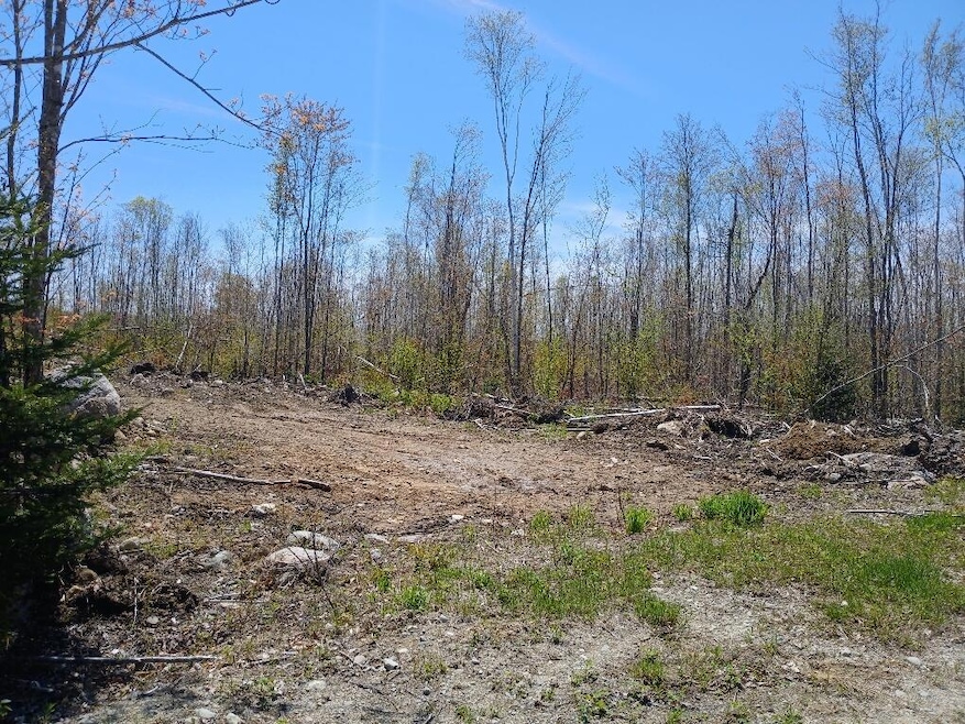40 B Eleanor Mae Road Lower Rd, Deblois, ME 04622 - photo 1