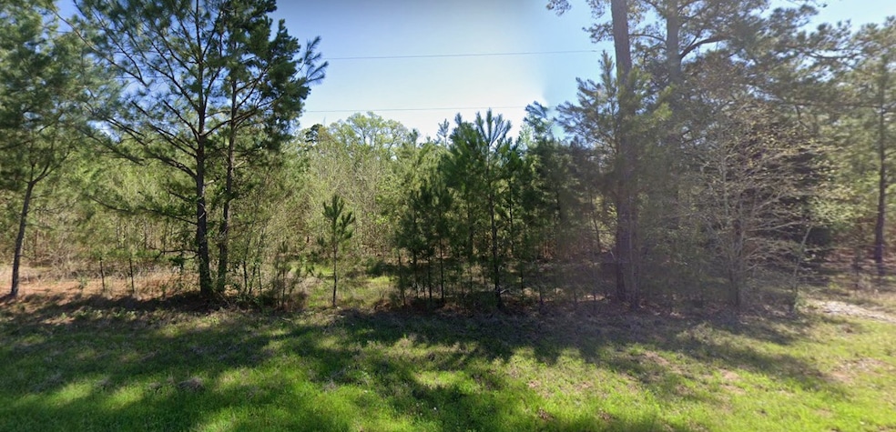 4890 Fm 19, Palestine, TX 75803 - photo 1