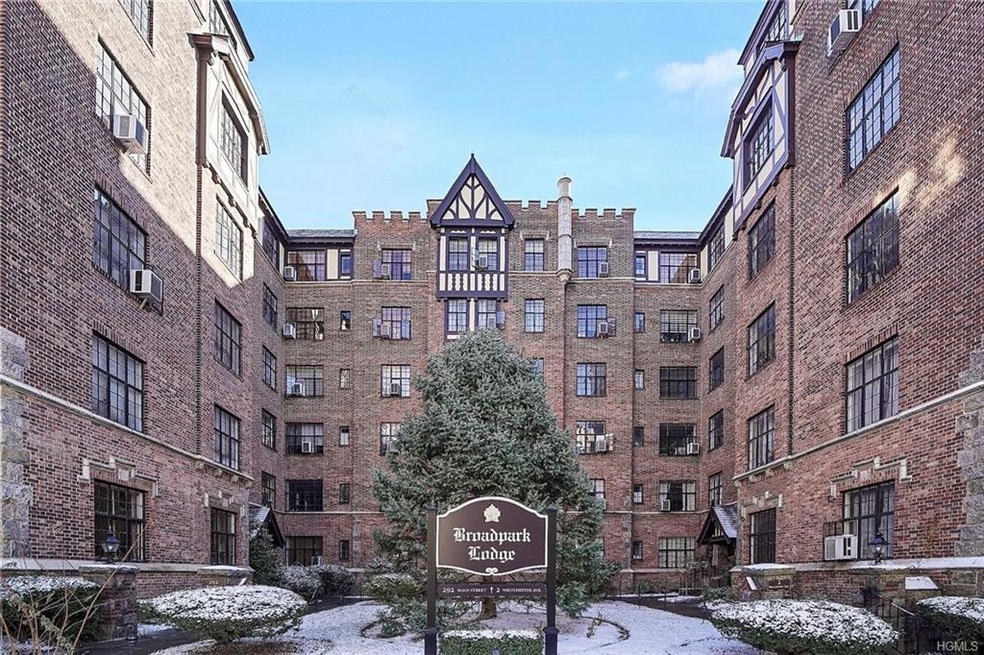 292 Main St unit 4B, White Plains, NY 10601 - photo 1