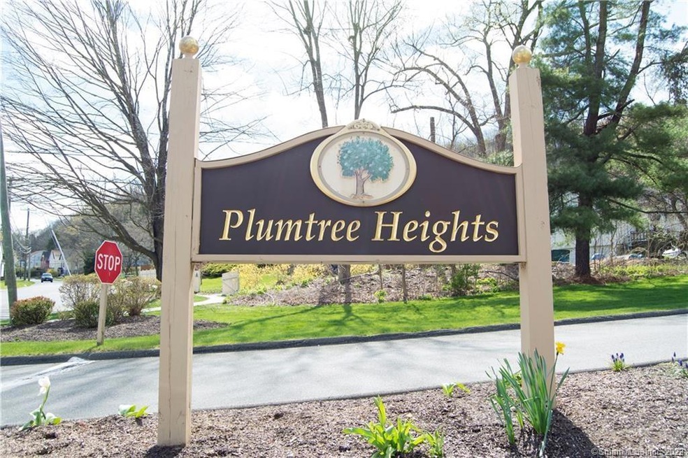 28 Eagle Rock Hill, Bethel, CT 06801 - photo 1