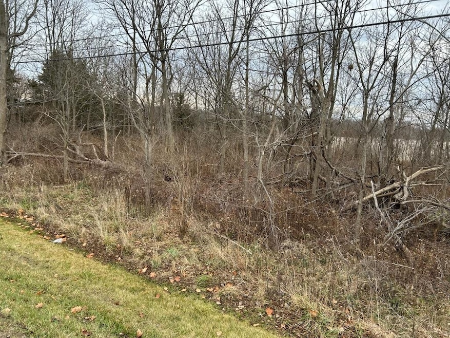 00 M-71, Durand, MI 48429 - photo 1