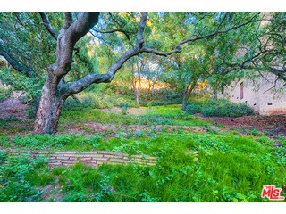 vacant lot