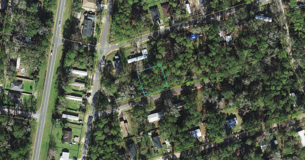 XXX Menomini St, Crawfordville, FL 32327 - photo 1