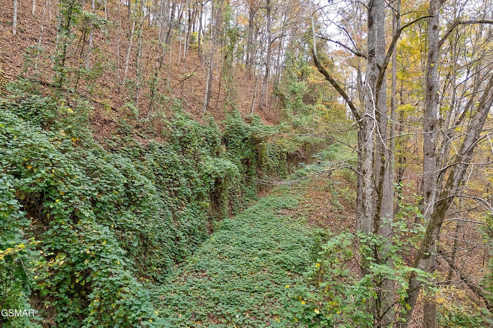Lots 1,2,3 Timber Grove Rd, Sevierville, TN 37862 - photo 1