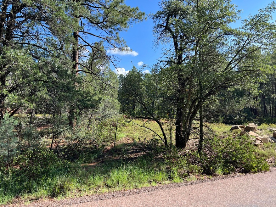 389 E Apache St, Pine, AZ 85544 - photo 1