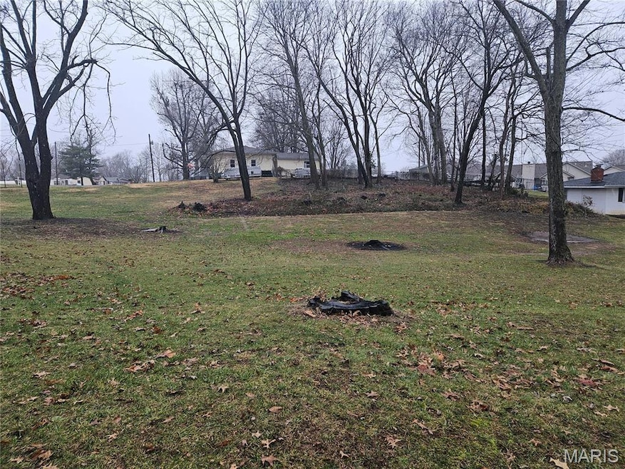 19 Fairway Dr, Bethalto, IL 62010 - photo 1