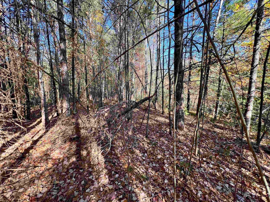 0 Right of Way Rd, Beecher, WI 54156 - photo 1