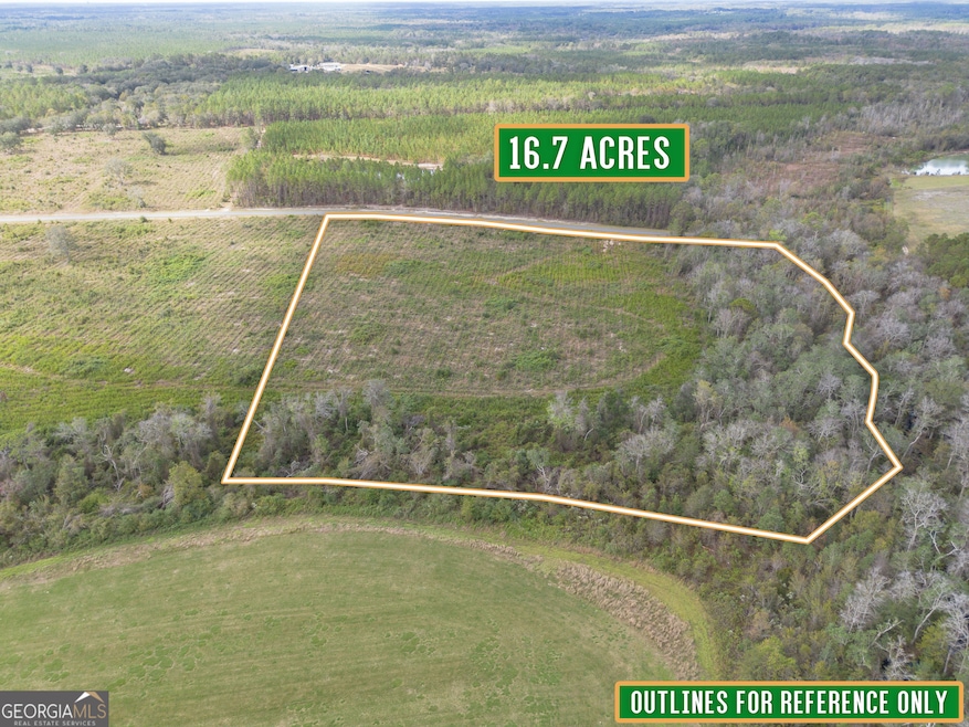 TRACT #6 - 0 Saddle Club Rd, Hoboken, GA 31542 - photo 1