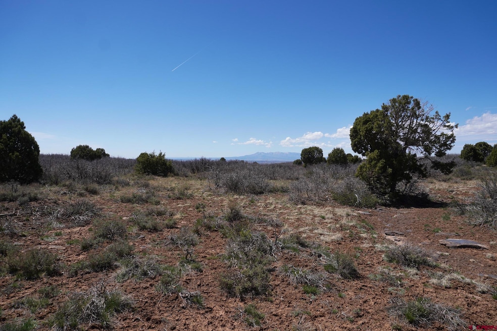 TBDWP Secret Canyon, Dove Creek, CO 81324 - photo 1