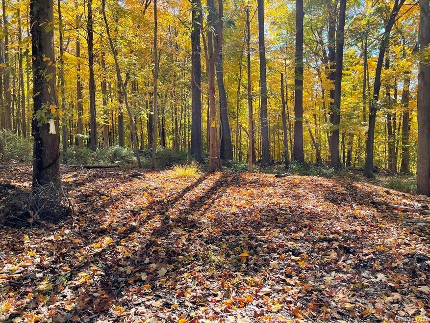 589 Jerome Rd, Yorktown Heights, NY 10598 - photo 1