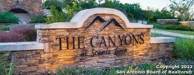 10023 Ivory Canyon, San Antonio, TX 78255 - photo 1