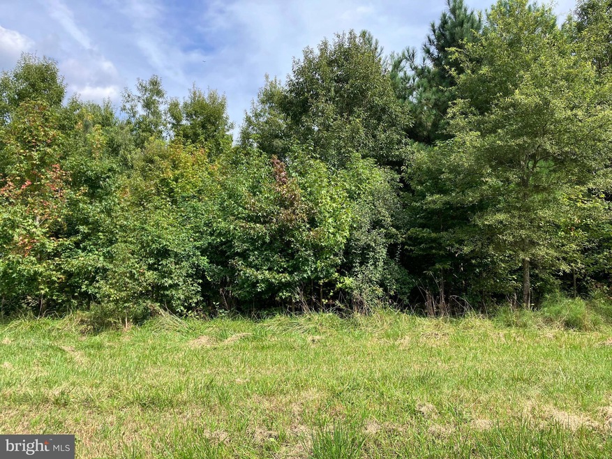 Lot 6 Ashley Rd, Rock Hall, MD 21661 - photo 1