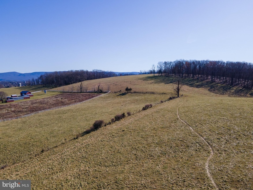 0 0 Cave Ridge Rd unit VASH2001622, Mount Jackson, VA 22842 - photo 1