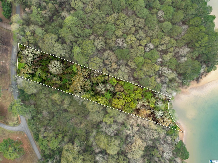 0 Annesley Dr unit 21438186, Pell City, AL 35128 - photo 1