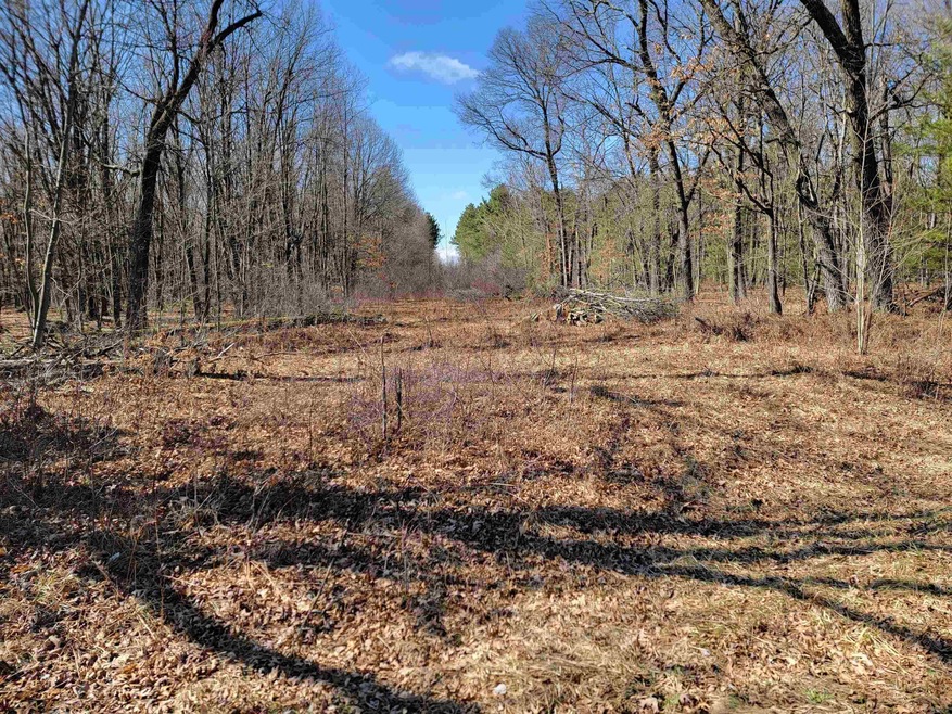 0000 Fremont Ave, Byron, WI 54660 - photo 1