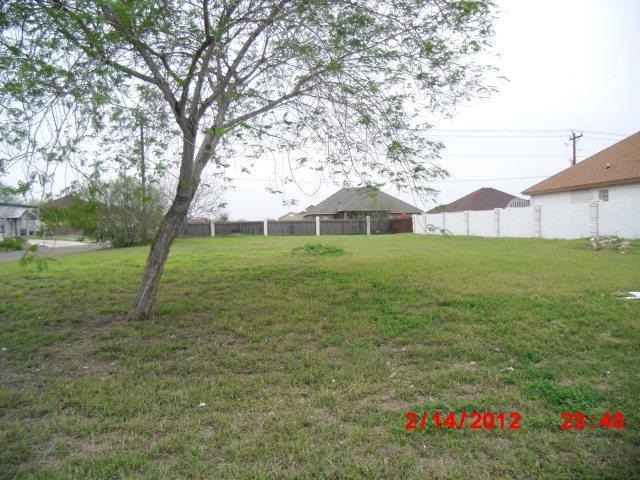 3725 Amando St, Edinburg, TX 78539 - photo 1