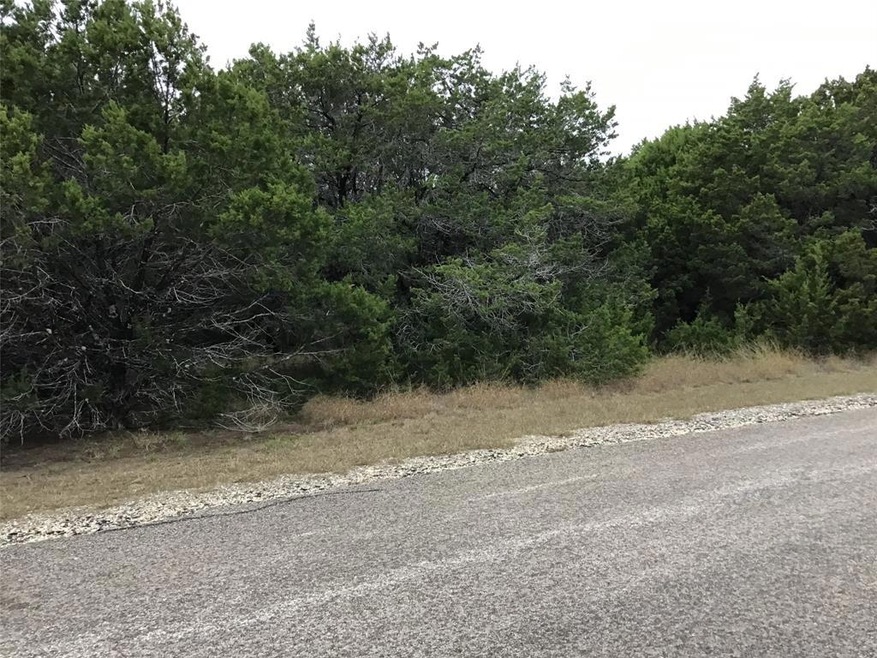 40091 Cedarcrest Dr, Whitney, TX 76692 - photo 1