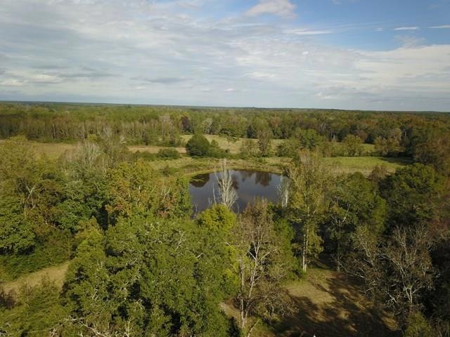 732 acre U S Highway 82, Eufaula, AL 36027 - photo 1